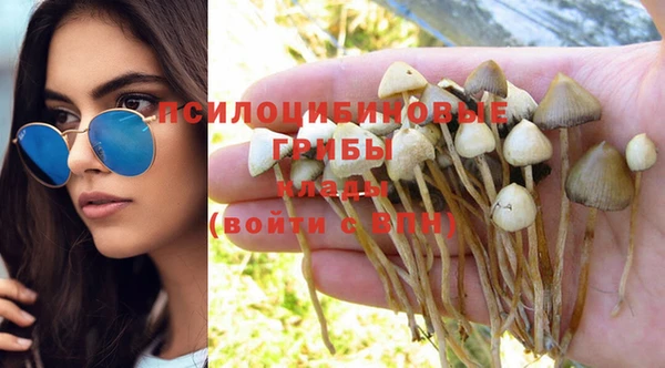 стаф Абинск